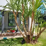 Magnifique Ferme A 30Min De Casablanca
